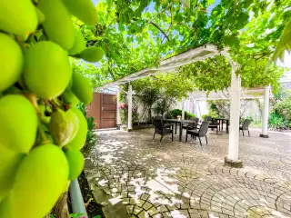 Мини-отель «Ardo», г. Анапа